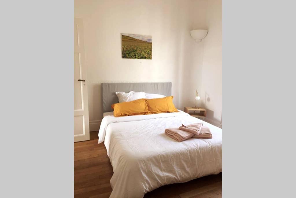 Appartement Cosy Idealement Situe Au Centre Ville 디종 외부 사진